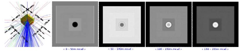 투과된 전자빔의 신호 검출각에 따른 이미지 변화