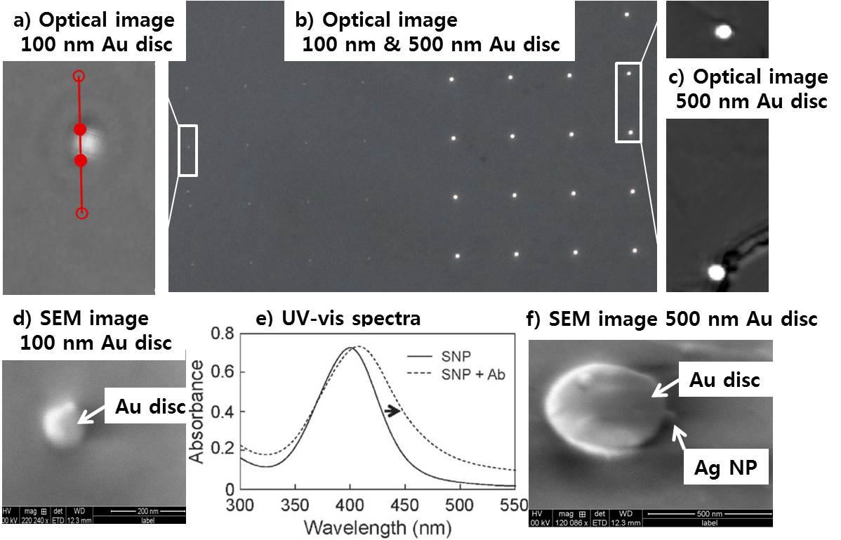 Galvano scan 방식 고속 광학측정 이미지(a, b, c) 결과. 100 nm(a)과 500 nm(c) 금디스크 나노어레이. 항원-항체 bioconjugation 화학결합에 따른 금-은 결합체(d, f)의 플라즈몬 위치와 폭 변화(e).