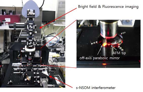 산란형 근접장현미경이 결합된 OIFM 이미징 시스템과 AFM tip 에 레이저빔이 집속된 모습