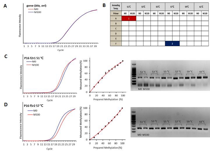 Analytical biases depending primer positionsand PCR conditions for melting-based DNA methylation analysis.