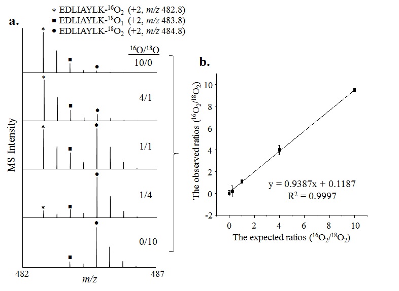 The linearity of the observed 16O2/18O2 ratios (y-axis) against the expected ratios (x-axis) in three quantitative replicates