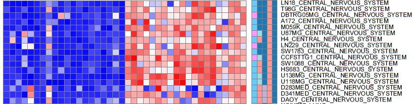 CCLE data-based GENE-E analysis to select glioma cell line markers (the red squares represent genes that are specifically enriched in glioma cell lines compared to the rest of cancer cell lines in the database)