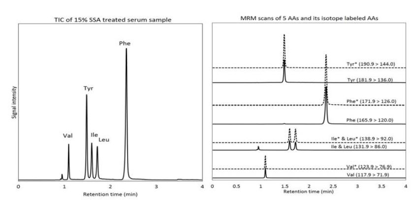 TIC and MRM scan of 5 amino acids and its isotope labeled amino acids in SSA treated serum sample