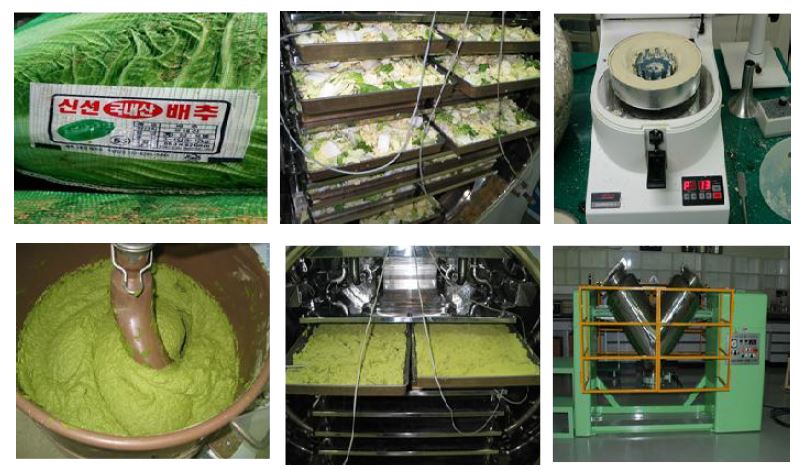 Preparation of Kimchi cabbage CRM and PT 기준물질