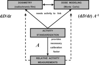 Illustration of the central role of the activity standardization in providing the necessary link for relating dose measurements and calculations and to establish calibration factors for routine activity measurements