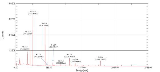 Gamma-ray spectrum of the developed Radon CRM