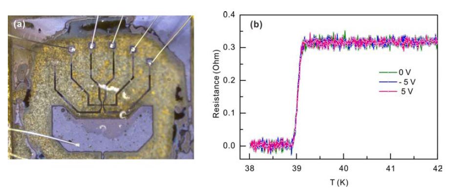 (a) 이붕화마그네슘 소자 광학사진. (b) 게이트값에 따른 초전도 전이현상.