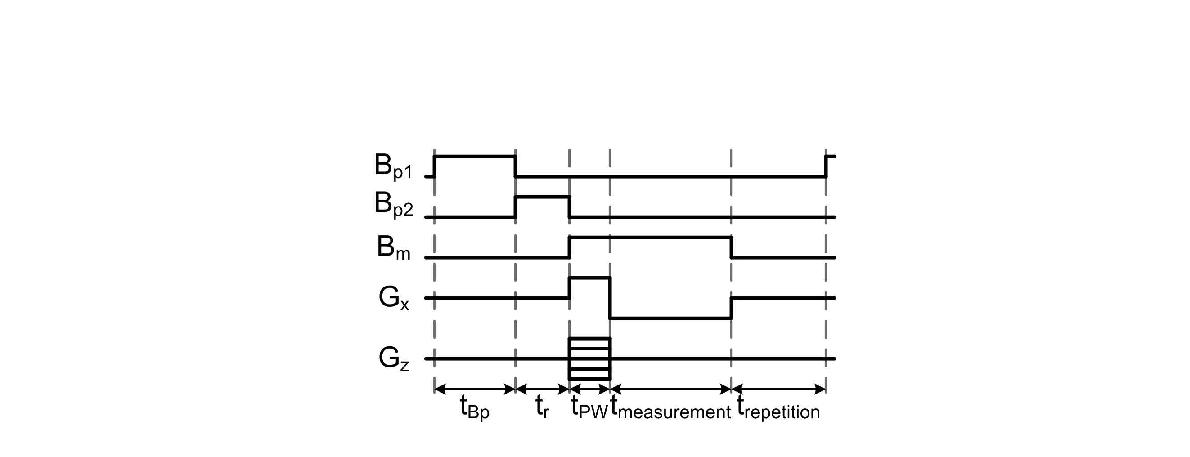 Pulse sequence diagrams for T –mapping experiment. The data set of T1–mapping is obtained by changing the time  .