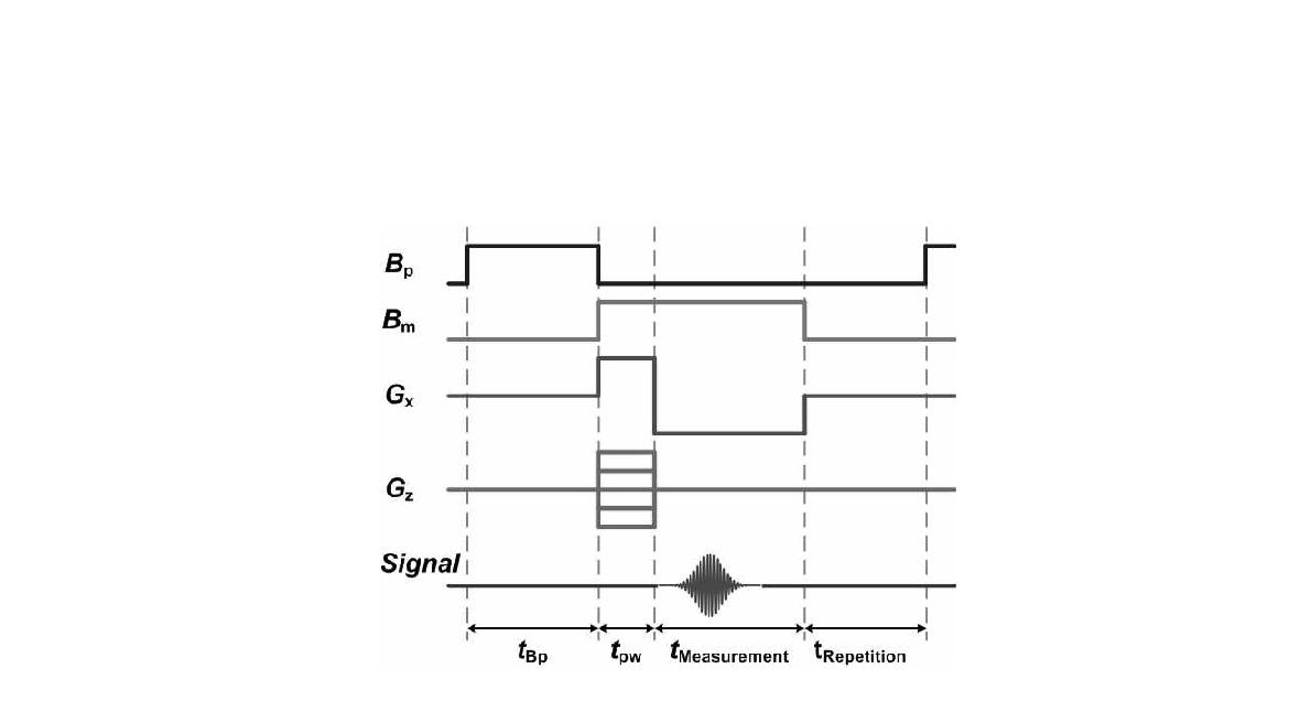 Pulse sequence diagrams for MRI experiment.