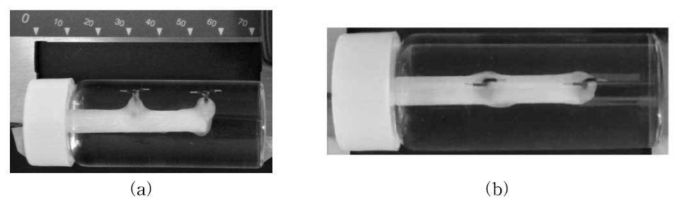 Photographs of two-dipole phantom for the micro-Tesla BMR experiment[1]. The picture in (b) is the photograph of the same phantom shown in (a), seen from a different view angle.