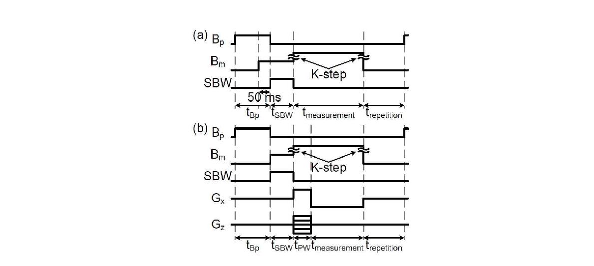 Pulse sequence diagrams for BMR experiment