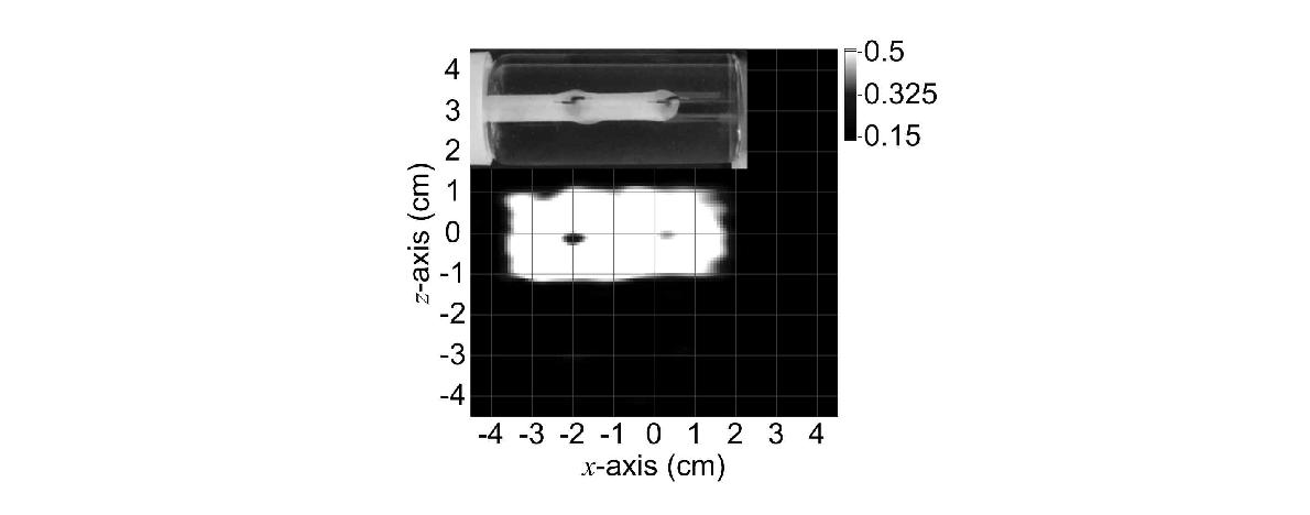 MR image of the vial including a two-dipole phantom[1].