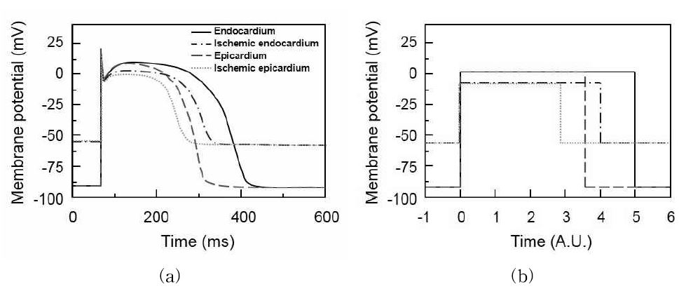 A realistic cardiac action potential model (a) and simplified cardiac action potential model (b).