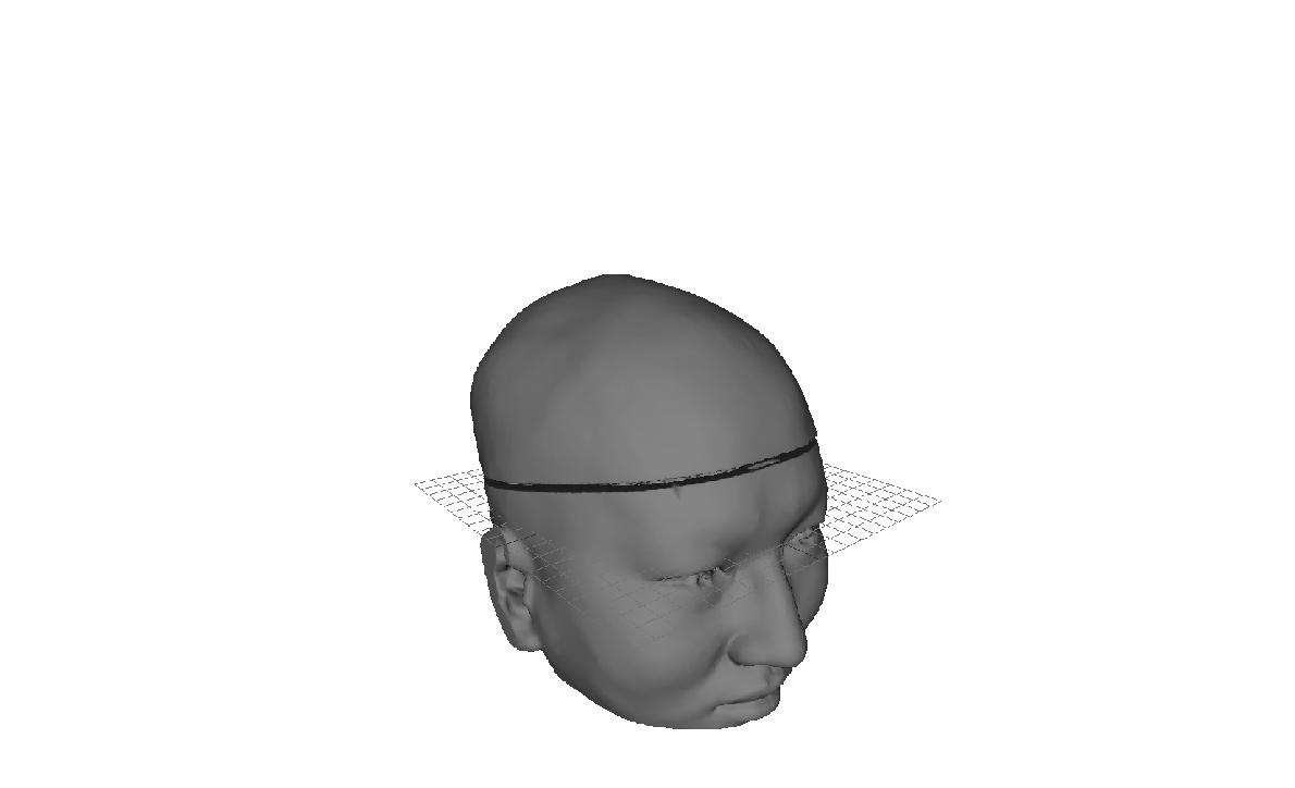 Realistic head phantom modeling with MRI-segmented rendering process.