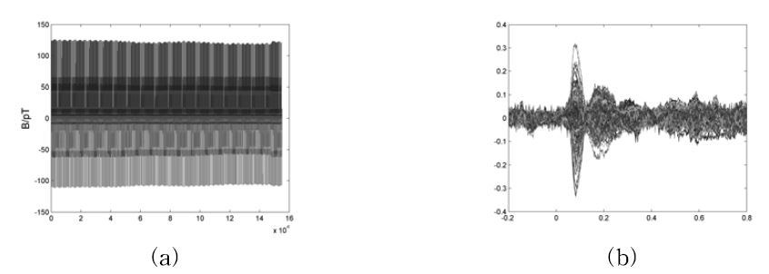 Removal of position coil signals by using tSSP. (a) recorded raw data. (b) averaged tSSP applied data.