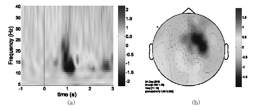 (a) Time-frequency representatioin in the contralateral sensory area during warm stimuli. (b) Field distribution of 10∼25 Hz event related desynchronization in sensor space.