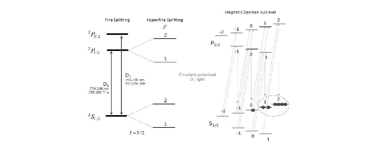 Level diagram for the D1(F=2 and F=1) line of K investigated in the present work.