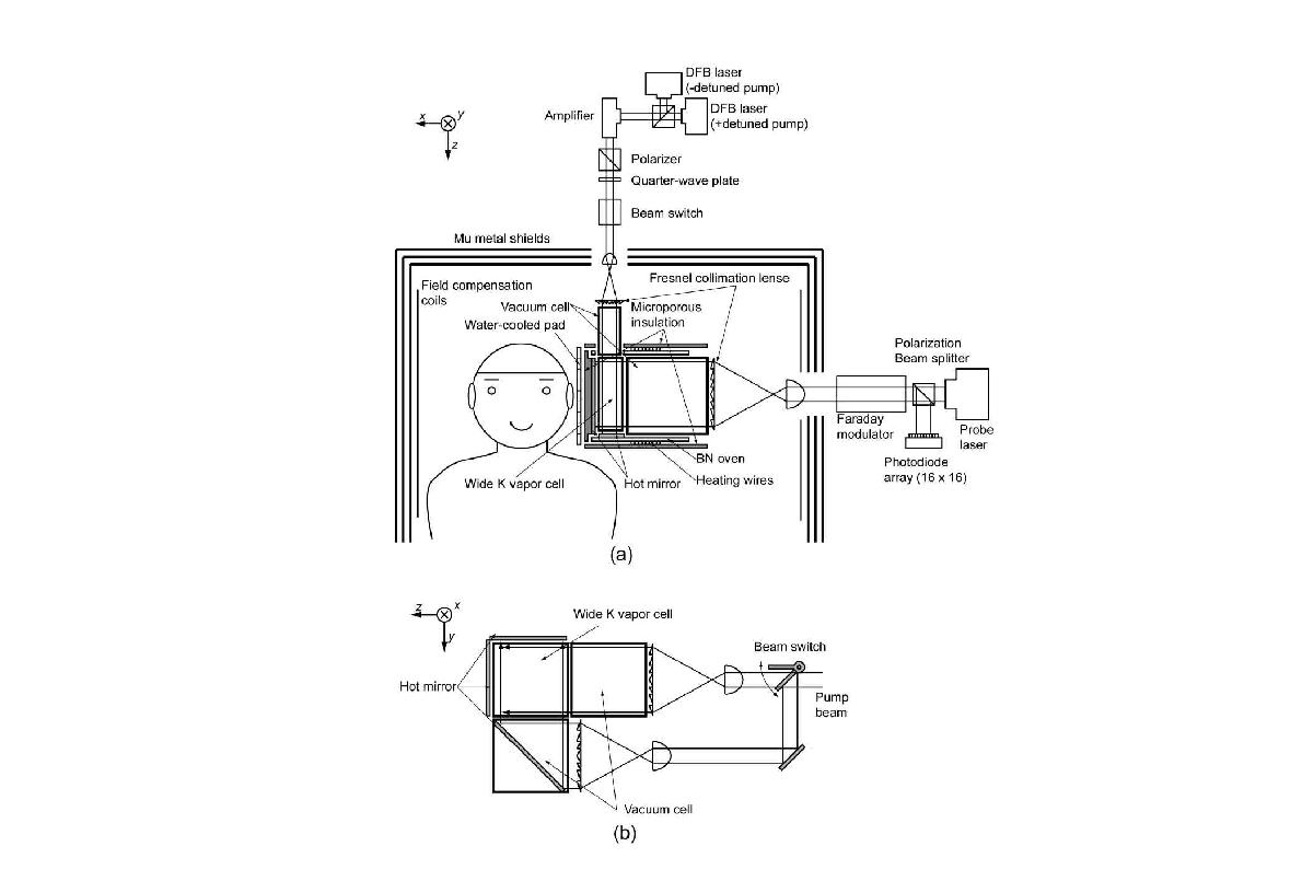 Schematic diagram of a retro-reflection atomic magnetometer system (the figures are on courtage of NeuroImage[5]).