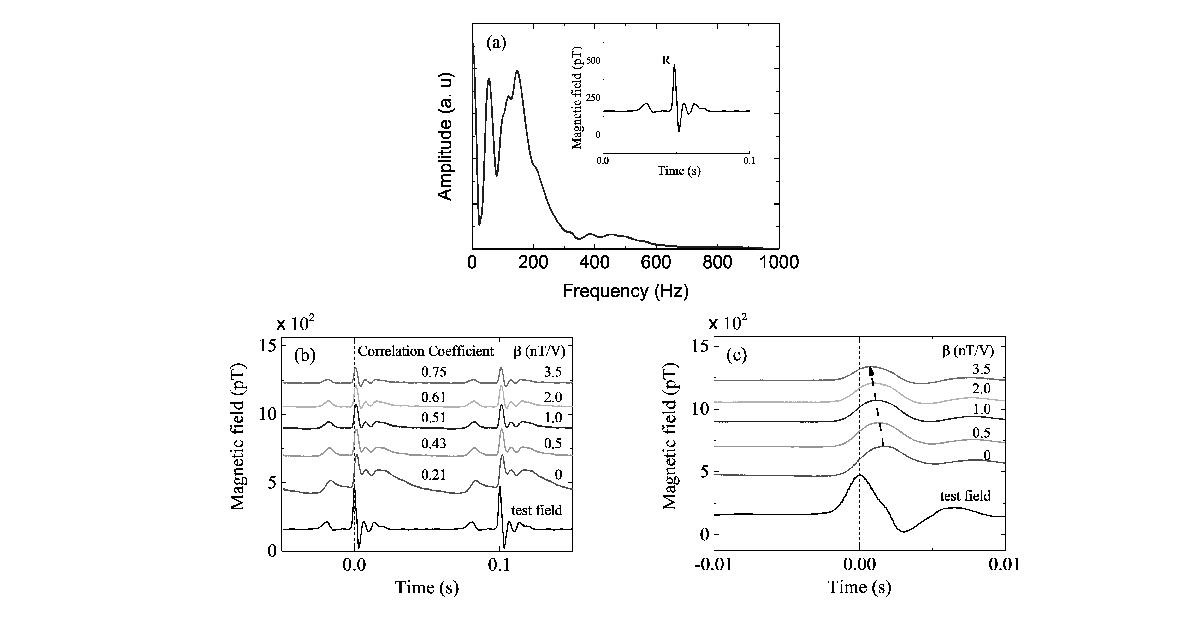 The test field, a MCG-like signal with a peak-to-peak amplitude of 500 pT and 0.1 s period between R peaks, was measured with several values of b . (a) The test field is composed of multiple frequency component. (b) When b is zero, open-loop, the low frequency response causes the distortion, and a higher frequency than the HWHM point causes the signal delay. As b continues to increase up to 3.5 nT/V, the distortion is reduced (c) signals become into-phase.