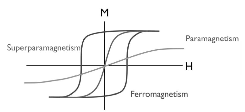 Magnetization hysteresis loops of different magnetic materials. Superparmagnetic materials have a high saturation magnetiszation and zero coercivity and remanence, making it to be distinguished from ferromagnetism and paramagnetism.