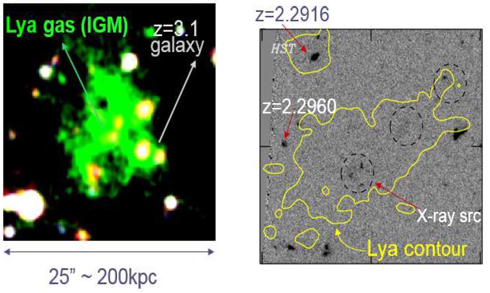Lyman-α blob(왼쪽)와 Lyman-α blob에서 HST 관측을 통해 확인된 은하들.