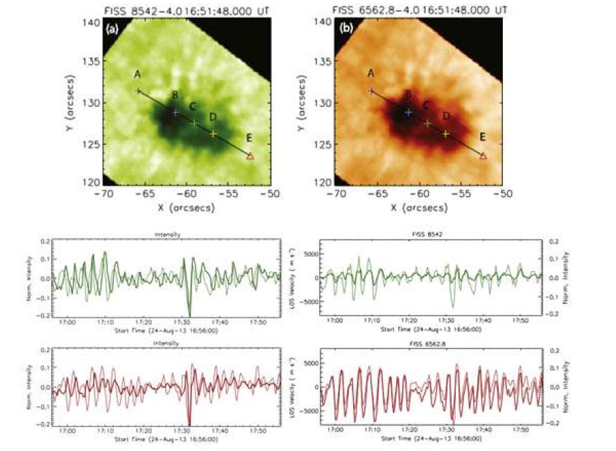 Ca 8542Å line wing 과 Hα line wing 파장에서의 연속 이미지 (위)와 “B”지점에서 다른 파장대의 밝기 변화 (왼쪽 아래)와 밝기와 시선방향 속도의 진동 비교(오른쪽 아래)