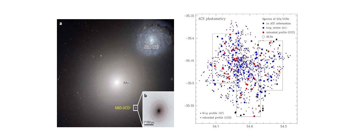 (좌) 처녀자리 은하단 M60 거대타원은하의 위성은하인 M60-UCD1에서 초거대 블랙홀이 발견되었다. (우) 화로자리 은하단의 구상성단 및 조기형 왜소은하의 공간분포.