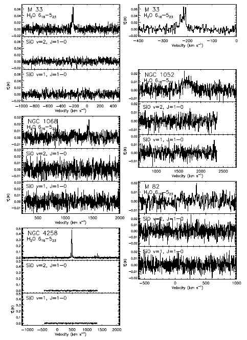 2011년 2월, H2O 메이저선원으로 알려진 5개의외부은하에 대하여 KVN 단일경으로 동시 관측된 H2O 616 -523 메이저선과 SiO v=1, 2, J=1-0 메이저선. SiO 메이저선은 검출되지 않았다.