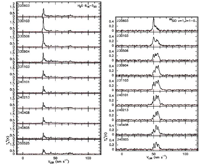 OH38.10-0.13 에 대한 각메이저선별 모니터링 결과 스펙트럼