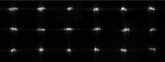 2013년 2월, STSC 제50차 회의에서 공개된 근지구소행성 2012 D14의 골드스톤(Goldstone) 레이다 영상(NASA/JPL)