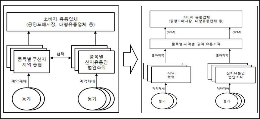 노지채소류 산지유통인 조직의 계열화･규모화 전개 방향