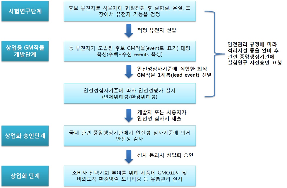 국내 GM 작물의 개발단계별 안전성 관리 체계