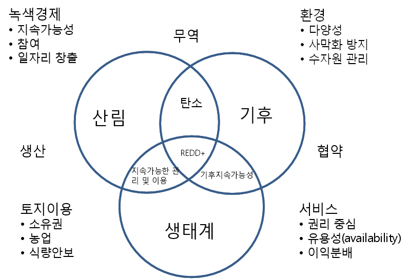 개발도상국의 산림 - 도전과 기회