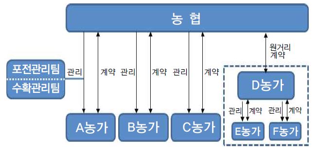 D원협의 계약재배 계열화 체계