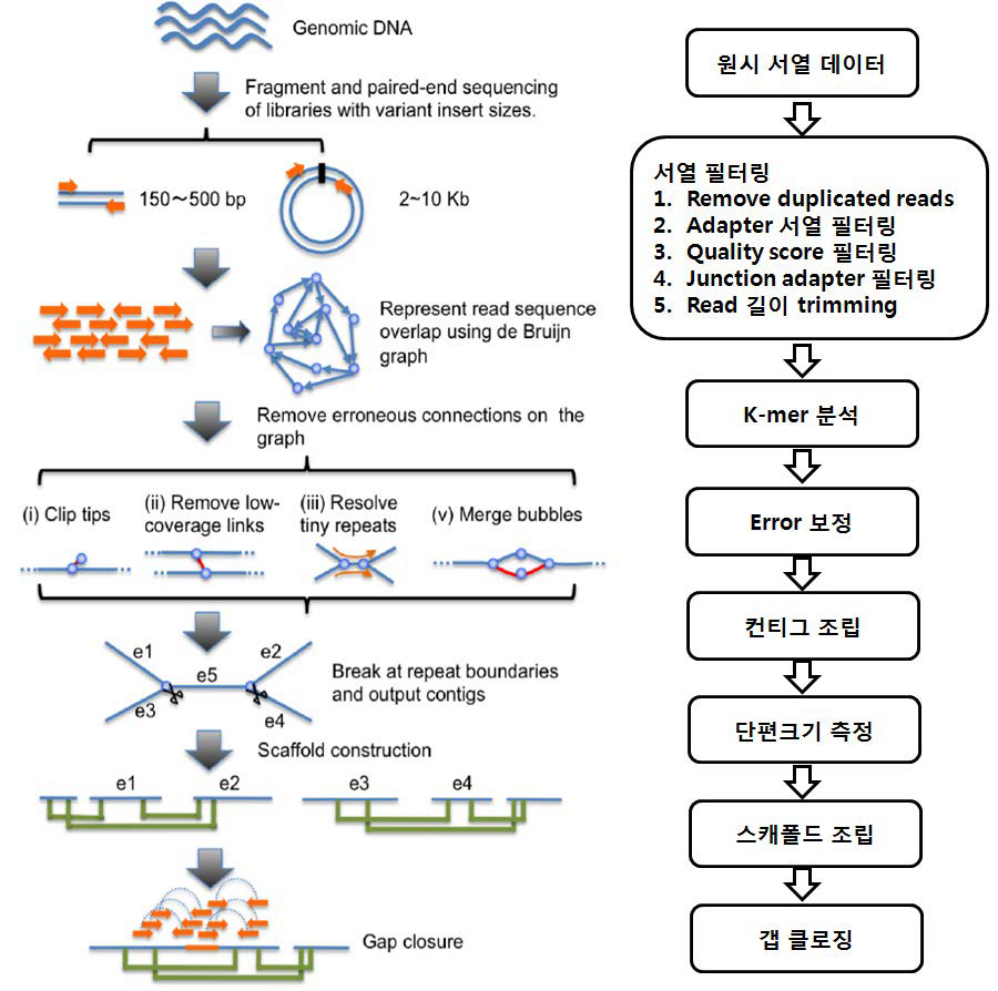 게놈지도 조립 순서