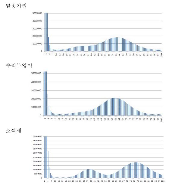 맹금류 3종의 K mer 그래프