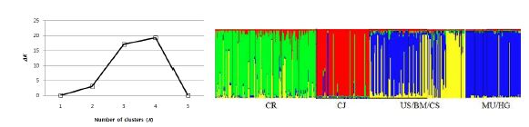 Bayesian 방법을 이용한 세뿔투구꽃 집단 구조 분석