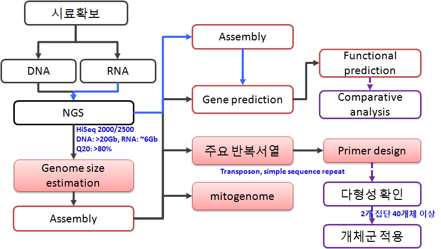 genome survey를 위한 생물정보 분석 개요도