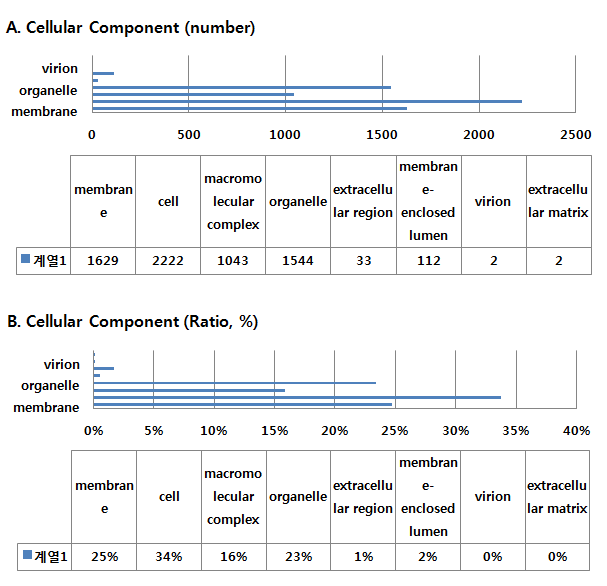 Cellular component에 따른 GO 분석 결과