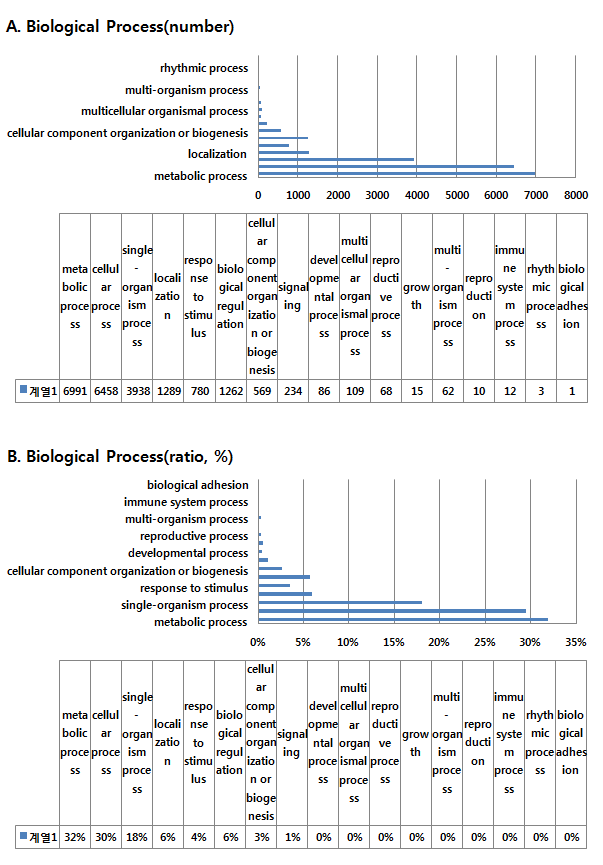 Biological process에 따른 GO 분석 결과