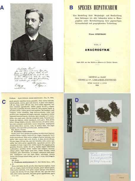 Franz Stephani, his well-known papers and holotype specimen kept in G.