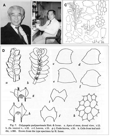 S. Hattori, H. Inoue and their representative papers.