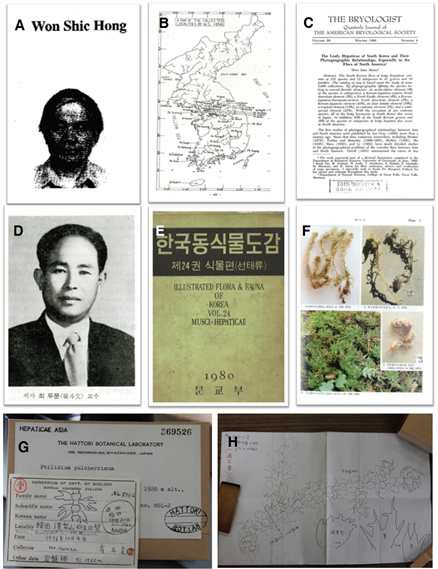 W.C. Hong, D.-M. Choe, their representative papers, specimens collected by Choe and picture drawn by Choe.