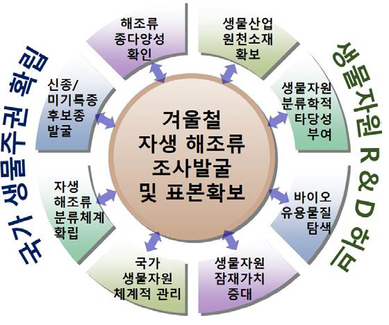 사업 배경