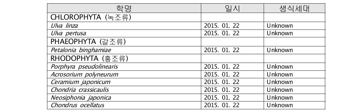 조사 기간 동안 가덕도 대항동에서 확보된 표본 목록