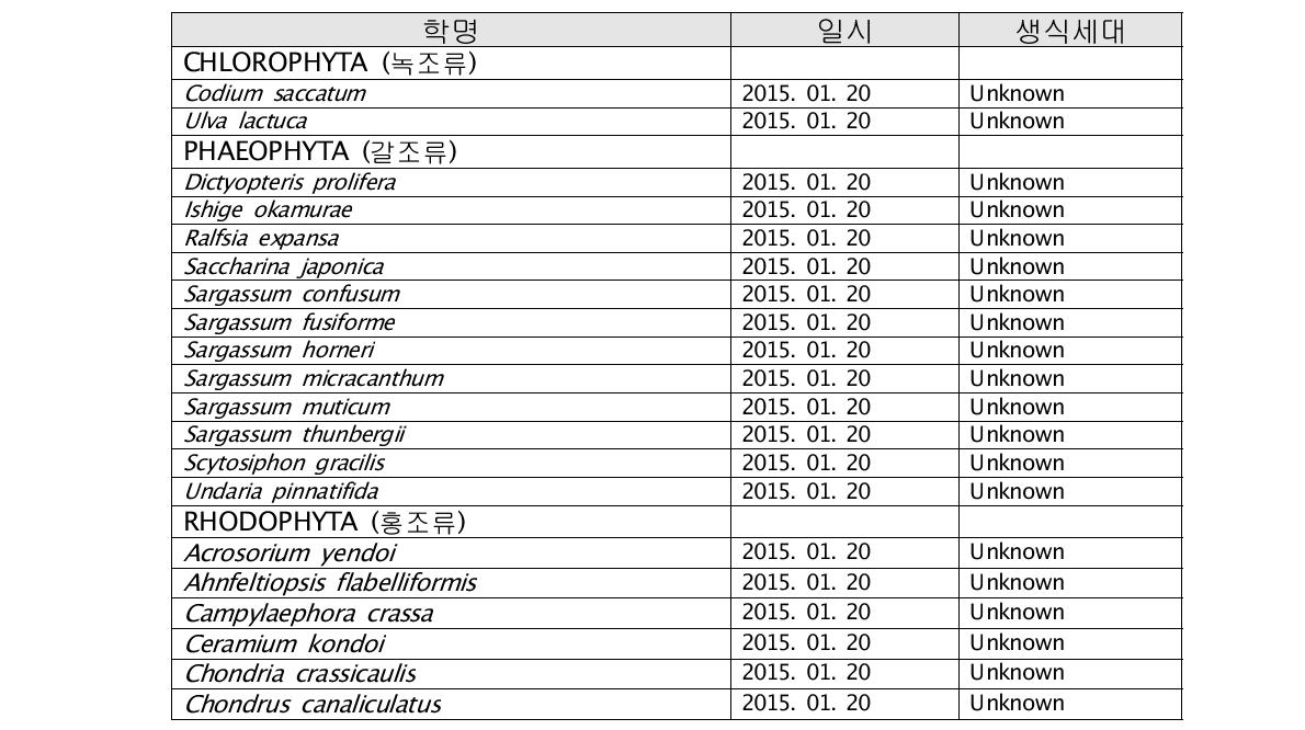 조사 기간 동안 외연도에서 확보된 표본 목록