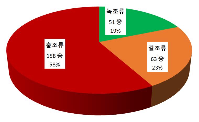 조사기간에 채집된 해조류 종 조성