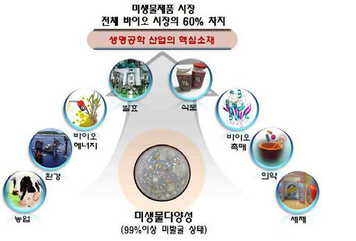 미생물의 산업적 활용 및 가치