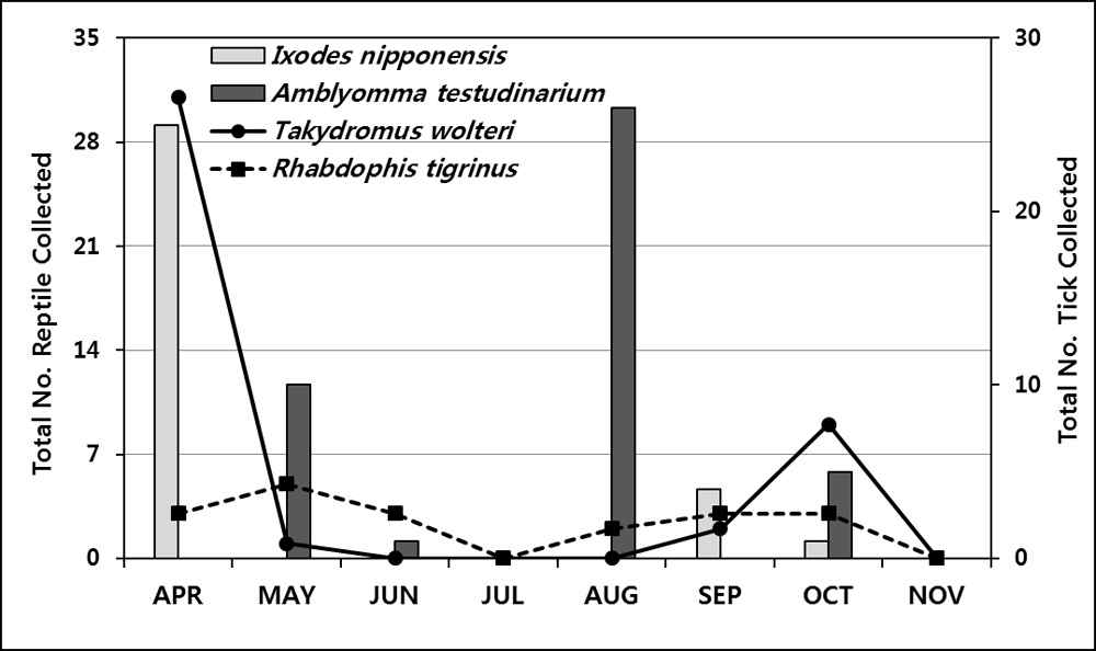 감염율이 높은 파충류 2종(줄장지뱀과 유혈목이)에서 채집한참진드기의 계절적 발생장소