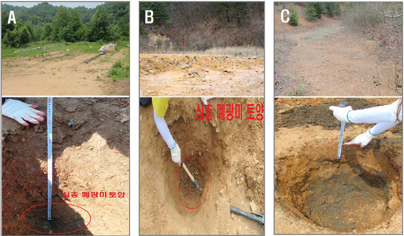 지역별 폐광미 적재장 및 폐광미 토양